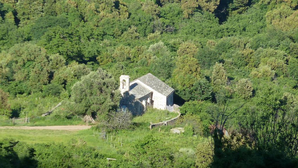 Villa Petrera Valle-di-Campoloro Dış mekan fotoğraf